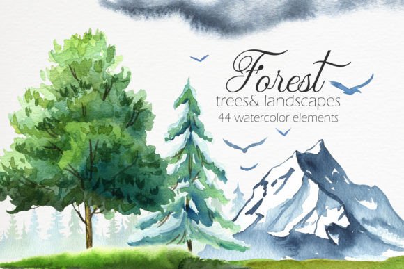 Bringing Nature's Magic to Life with Forest Watercolor Illustrations