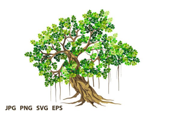 The Banyan Tree: A Versatile Vector Asset for Branding and Creative Design